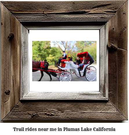 trail rides near me in Plumas Lake, California